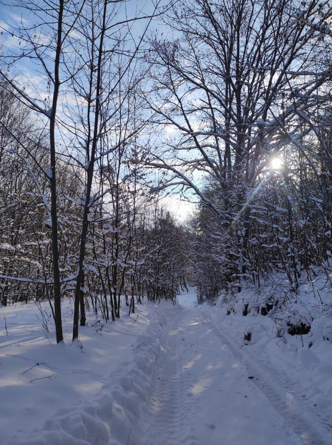 Vila Miedzy Drzewami Biecz Exteriér fotografie