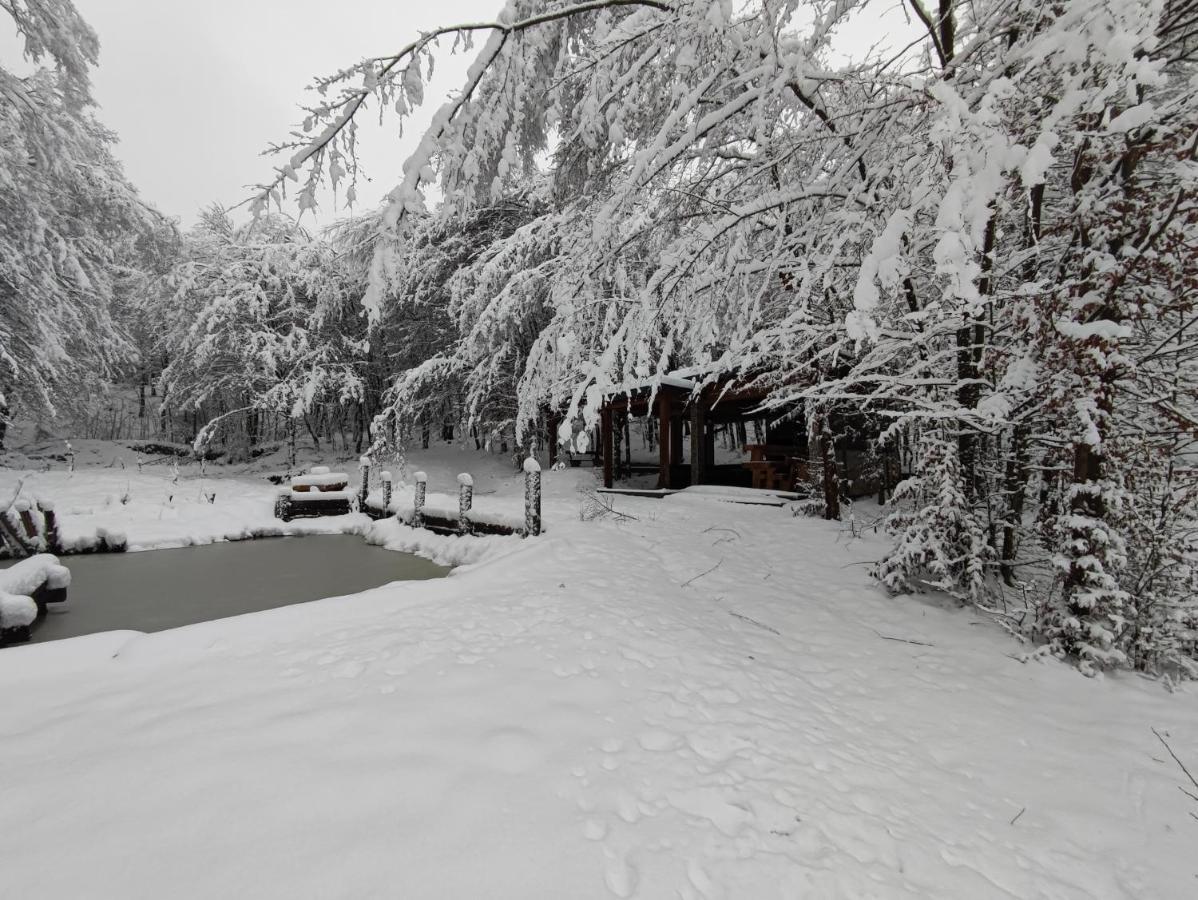 Vila Miedzy Drzewami Biecz Exteriér fotografie